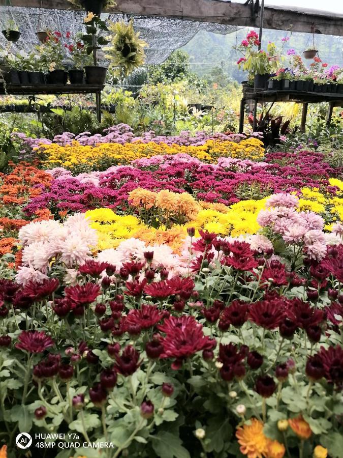 Flower Top Ella Zewnętrze zdjęcie